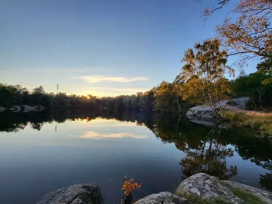 Autumn doing its whole routine at once