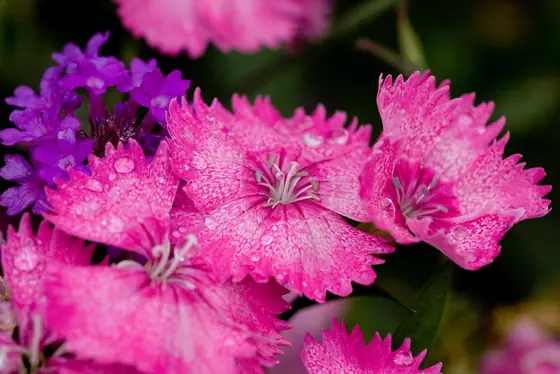 Colour, in the middle of a grey month