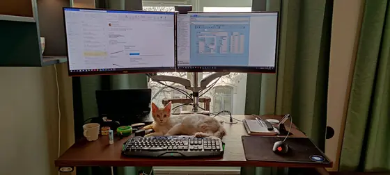 My colleague, asleep on the keyboard again