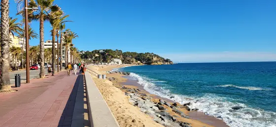 The coast road in January, which is the point of January
