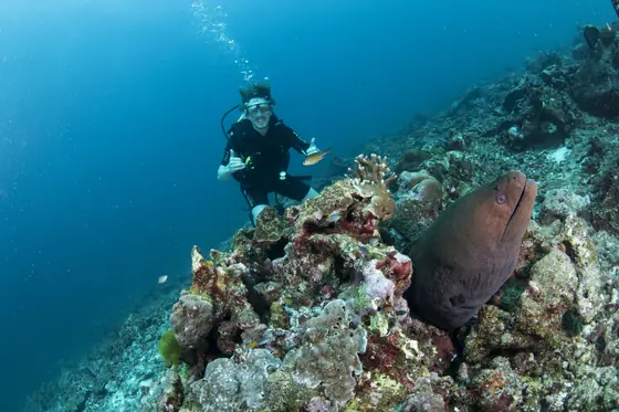 On a reef, a long way from a spreadsheet