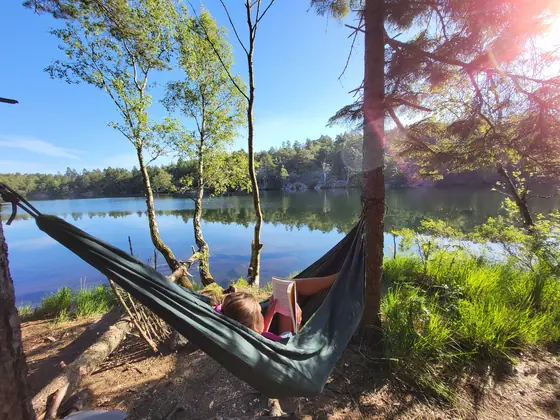 The correct configuration of a summer morning