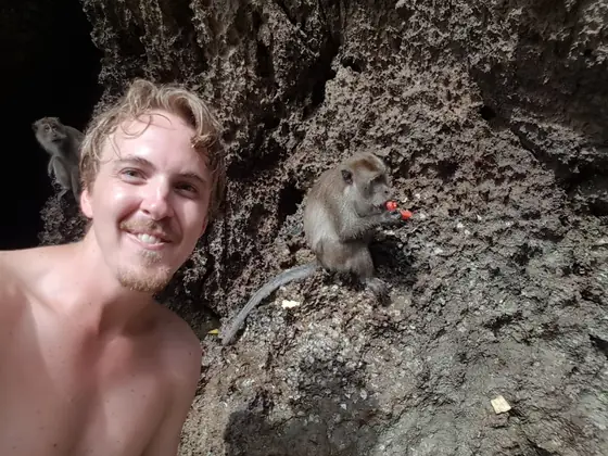 A monkey who had clearly done this before