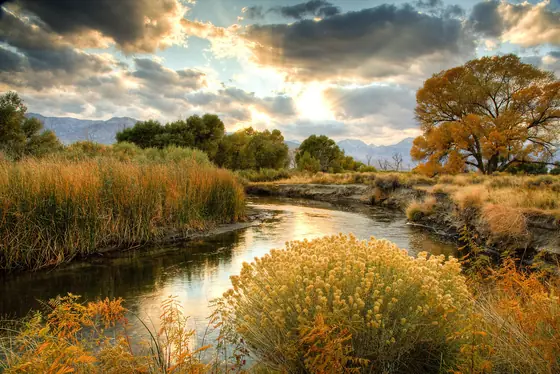 Autumn on the water