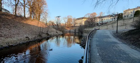 Morning on the river