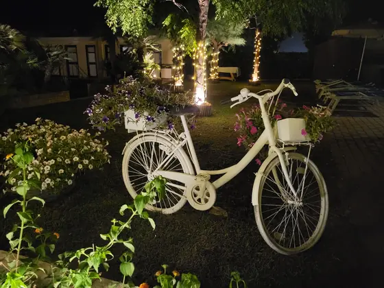 A bicycle nobody intends to ride